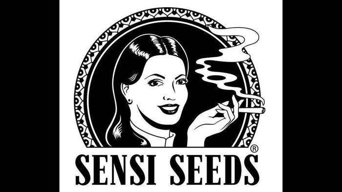 Sensi Seeds
