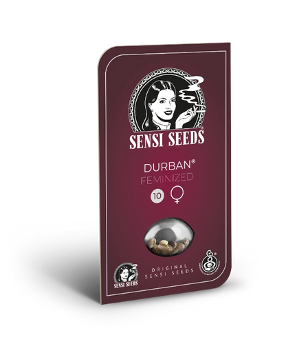 Durban (Sensi Seeds) feminisiert