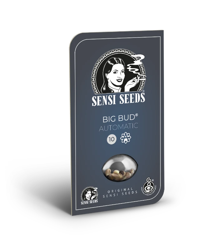 Big Bud Auto (Sensi Seeds)