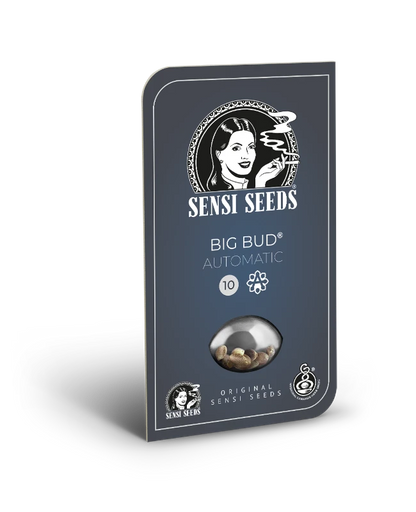 Big Bud Auto (Sensi Seeds)