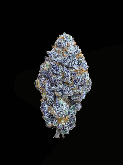 Bananacane (In House Genetics) feminisiert