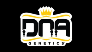 DNA Genetics