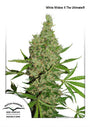 White Widow x The Ultimate (Dutch Passion) Regulär