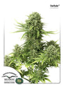 StarRyder Auto (Dutch Passion)