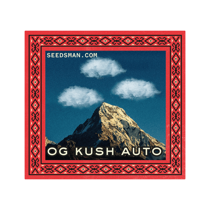 OG Kush Auto (Seedsman) Cannabis Samen von Seedsman