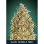 Gorilla Blue Auto (Advanced Seeds) autoflowering