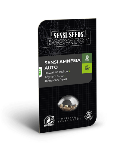Sensi Amnesia Auto (Sensi Seeds) Cannabis Samen von Sensi Seeds