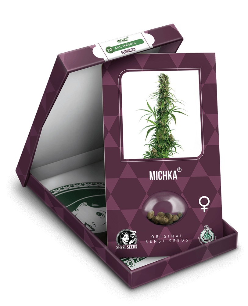 Michka (Sensi Seeds) feminisiert Cannabis Samen von Sensi Seeds