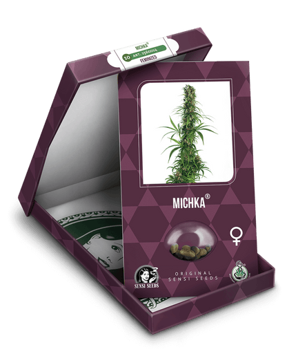 Michka (Sensi Seeds) feminisiert Cannabis Samen von Sensi Seeds
