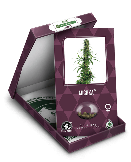 Michka (Sensi Seeds) feminisiert Cannabis Samen von Sensi Seeds