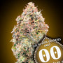 Do-Si-Dos Cookies Fast (00 Seeds) feminisiert