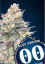 Blue Dream Fast (00 Seeds) feminisiert