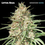 Lemon Bean (Advanced Seeds) feminisiert