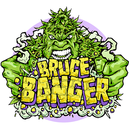 Bruce Banger Fast (Seedsman) feminisiert Cannabis Samen von Seedsman