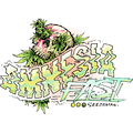 Amnesia Fast (Seedsman) feminisiert Cannabis Samen von Seedsman