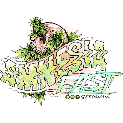 Amnesia Fast (Seedsman) feminisiert Cannabis Samen von Seedsman