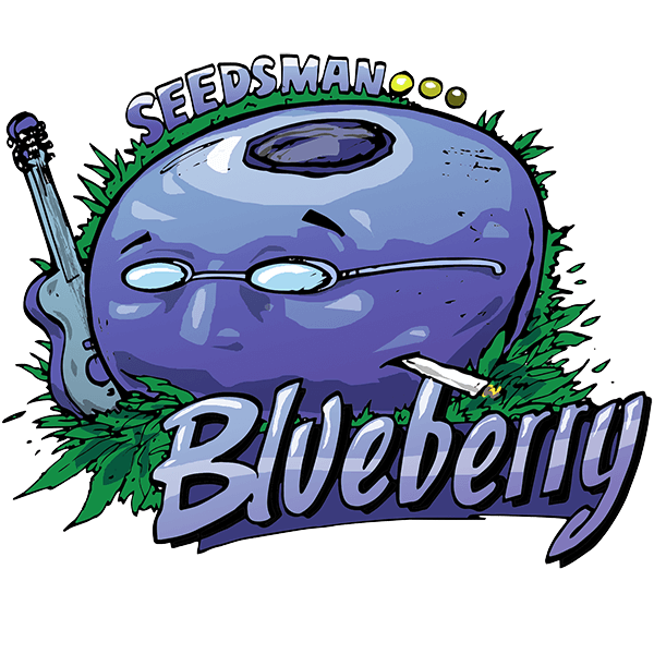 Blueberry (Seedsman) feminisiert Cannabis Samen von Seedsman