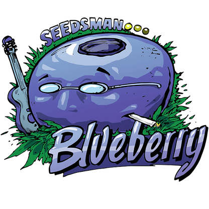 Blueberry (Seedsman) feminisiert Cannabis Samen von Seedsman