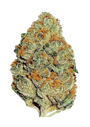 Lemon Mandarin (FastBuds) feminized