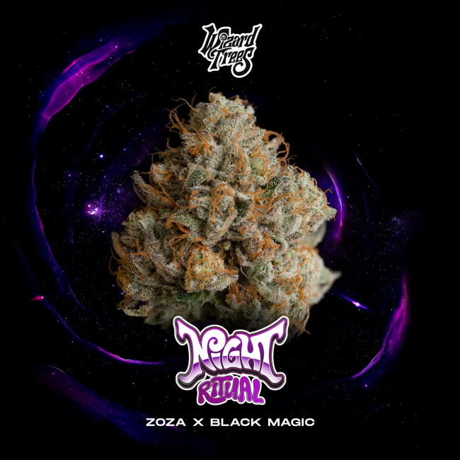 Night Ritual (Wizard Trees) feminisiert