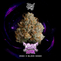 Night Ritual (Wizard Trees) feminized