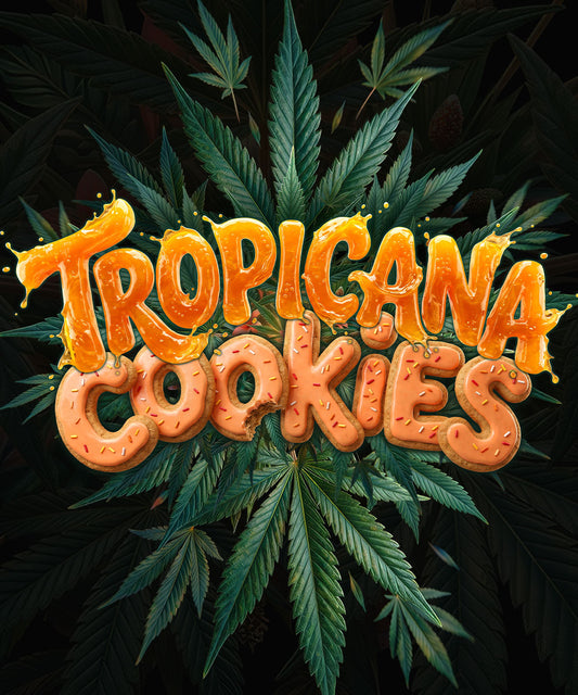 Tropicana Cookies F1 Auto (Barney's Farm) autoflowering