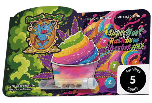 Super Boof x RS11 (Sweet Seeds) feminisiert Cannabis Samen von Sweet Seeds