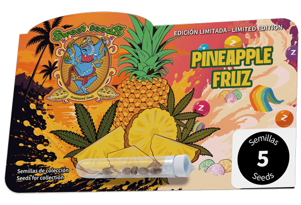 Pineapple Fruz (Sweet Seeds) feminisiert Cannabis Samen von Sweet Seeds
