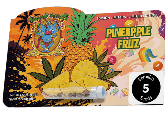 Pineapple Fruz (Sweet Seeds) feminisiert Cannabis Samen von Sweet Seeds