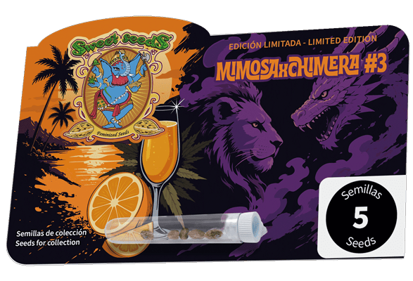Mimosa x Chimera #3 (Sweet Seeds) feminisiert Cannabis Samen von Sweet Seeds