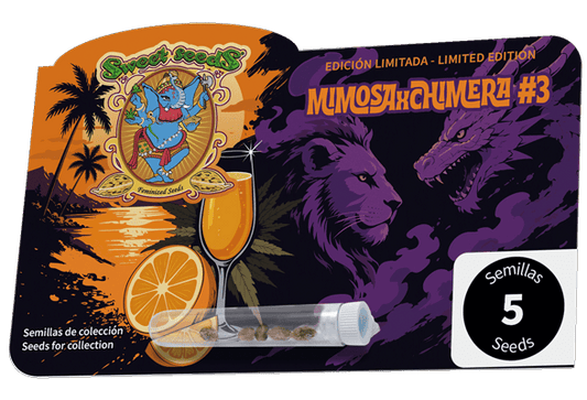 Mimosa x Chimera #3 (Sweet Seeds) feminisiert Cannabis Samen von Sweet Seeds