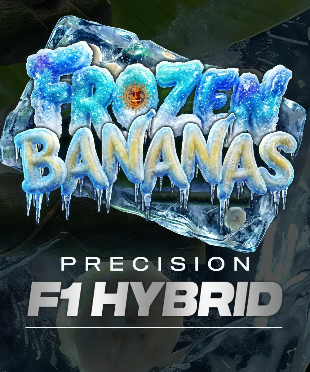 Frozen Bananas F1 (Barney's Farm) feminisiert
