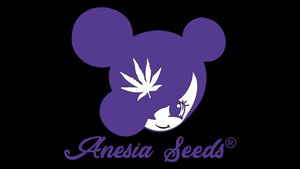 Anesia Seeds