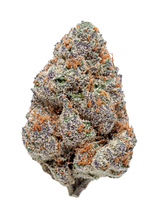 Wedding Cheesecake FF (FastBuds) feminisiert