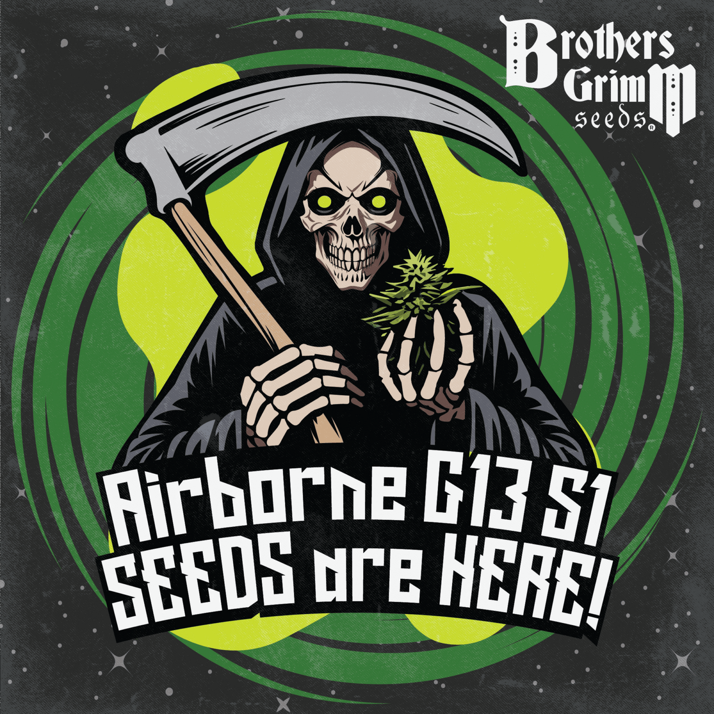 Airborn G13 S1 (Brothers Grimm Seeds) feminisiert