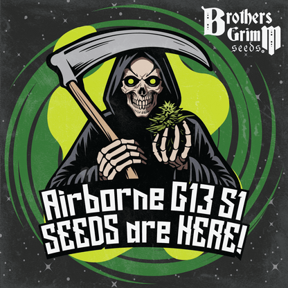 Airborn G13 S1 (Brothers Grimm Seeds) feminisiert