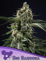 Big Bazooka (Anesia Seeds) feminized