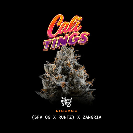 Cali Tings (Wizard Trees) feminisiert