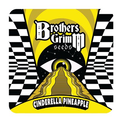 Cinderella Pineapple (Brothers Grimm Seeds) feminisiert
