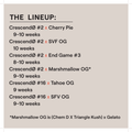 Crescendo Multipack (Ethos Genetics) feminisiert Cannabis Samen von Ethos Genetics