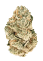 Gorilla Melon (FastBuds) Feminized