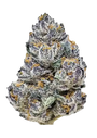 Rainbow Melon (FastBuds) feminized