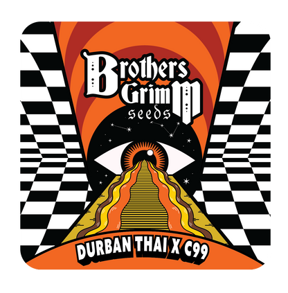 Durban Thai x C99 (Brothers Grimm Seeds) feminisiert