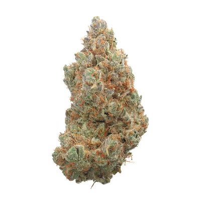 Everglades OG Auto (Happy Valley Genetics)