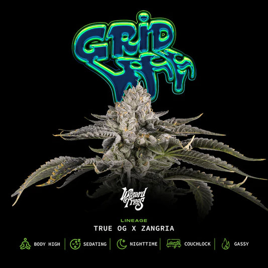 Gridlock (Wizard Trees) feminisiert