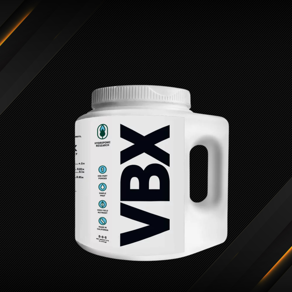 VBX Clean