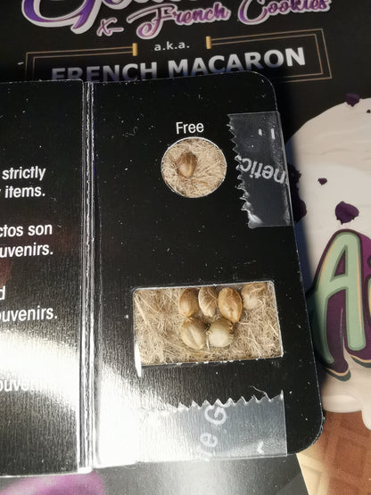 French Macaron Auto (T.H.Seeds)