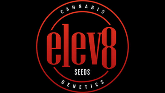 Gratis Seeds - Elev8 Seeds