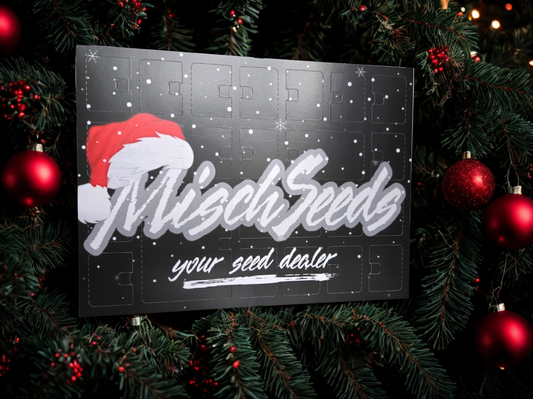 Adventskalender 2025