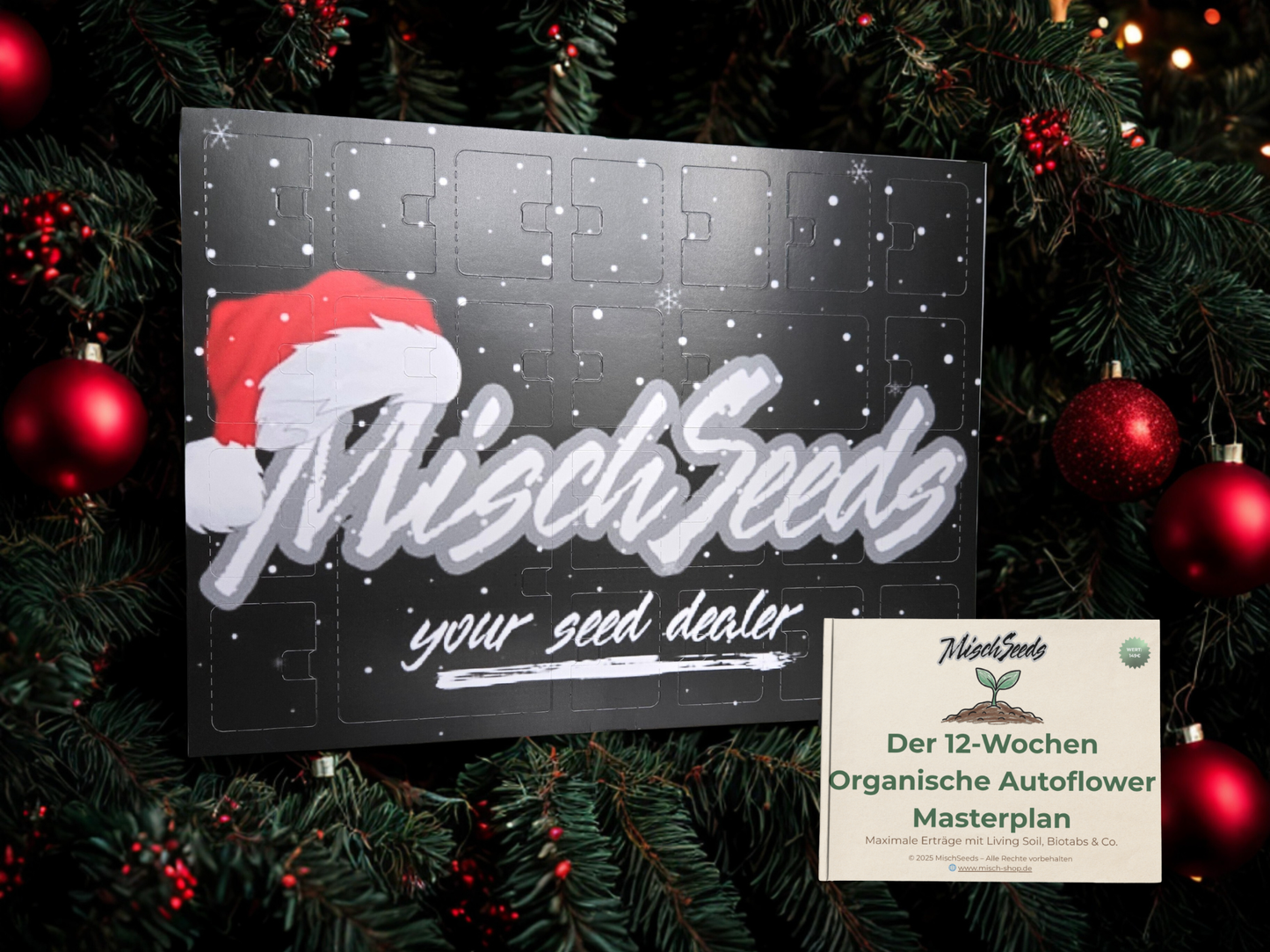 MischSeeds Adventskalender [Limitierte Edition] + GRATIS Masterplan Bundle